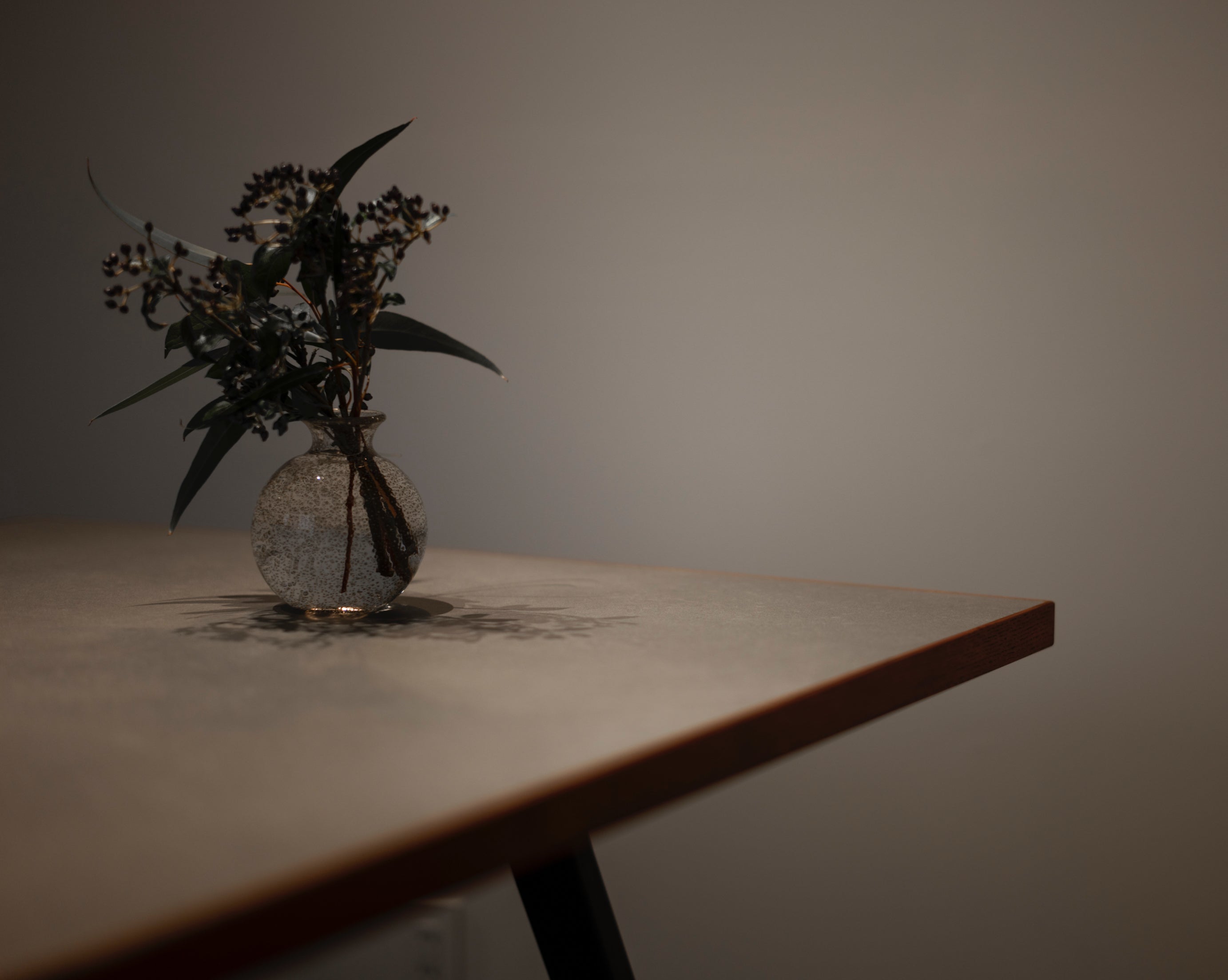 Home | ハナ